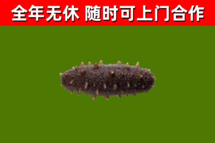 贾汪烟酒回收干海参.jpg